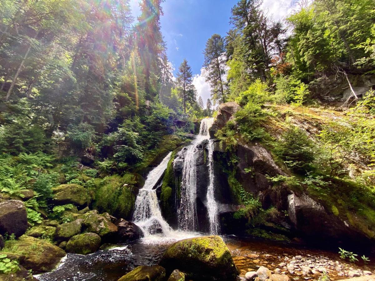 Ferienwohnung Zur Bierliebe - Mit Toller Aussicht Im Herzen Des Schwarzwaldes Hornberg Exterior photo